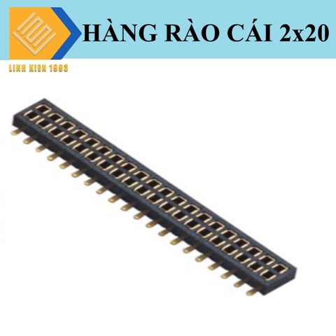 Hàng rào cái đôi 1.27mm 20 chân 2 hàng SMD