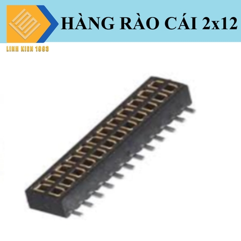 Hàng rào cái đôi 1.27mm 12 chân 2 hàng SMD