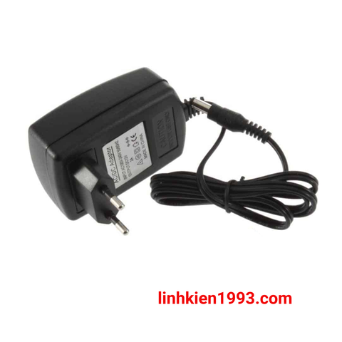 Adapter 12V2A