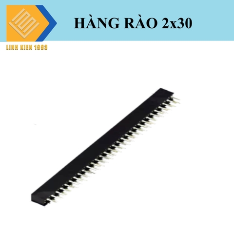 Hàng rào cái đôi F2 2x30P 2.0mm 60 chân 2 hàng cao 4.3mm
