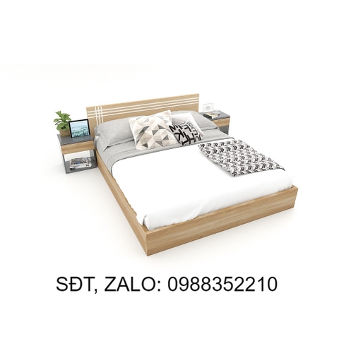 GIƯỜNG NGỦ 013