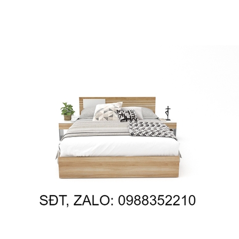 GIƯỜNG NGỦ 009