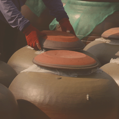 Thủy sản Hải Hậu AGRIFI