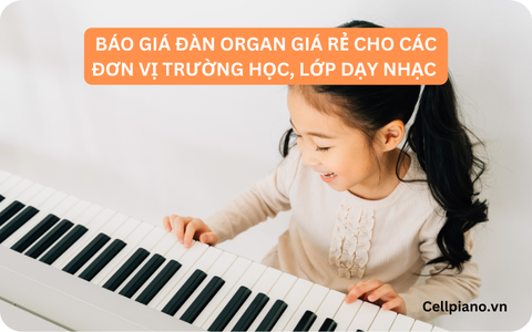 BÁO GIÁ ĐÀN ORGAN GIÁ RẺ CHO CÁC ĐƠN VỊ TRƯỜNG HỌC, LỚP DẠY NHẠC