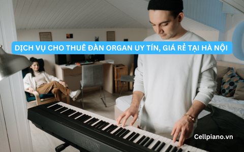 Dịch vụ cho thuê đàn Organ uy tín giá rẻ tại Hà Nội