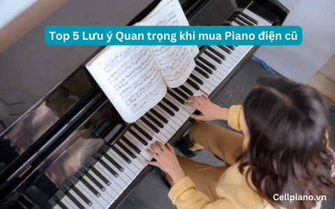 Top 5 Lưu ý cực quan trọng khi mua đàn Piano điện cũ