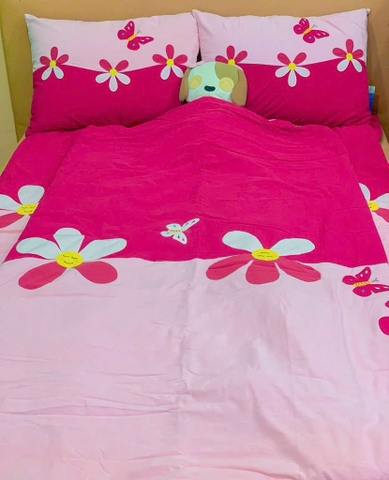 Bộ mền ga gối hoa bướm (ga, mền, 2 vỏ gối nằm, vỏ gối ôm). Size: 2XL(160x200cm)