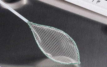 Vợt hớt dị vật