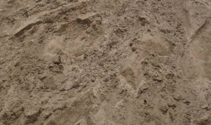 Mẹo xác định chất lượng cát tốt cho công trình