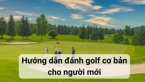 Đánh golf cơ bản