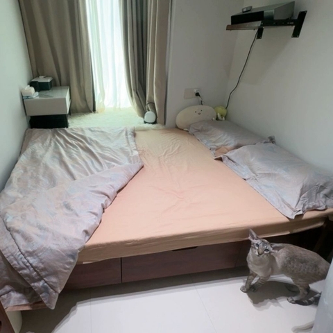 Giường Bay Có 3 Ngăn Kéo Thiết Kế Tối Giản 1m6x2m Yapi-551