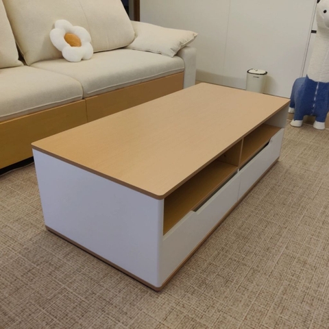 Bàn Trà Sofa 2 Ngăn Kéo Phong Cách Hiện Đại 120x60x40cm Yapi-702