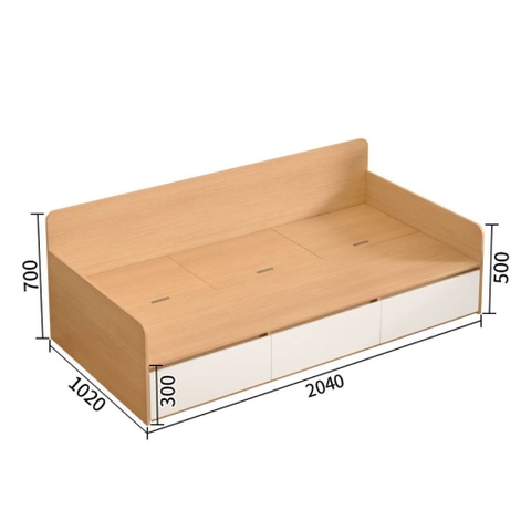 Giường Sofa Đa Năng Kèm Ngăn Kéo Lưu Trữ 1m2x2m Yapi-572