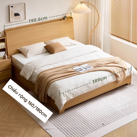 Giường Ngủ Thông Minh Nâng Hạ Có Tủ Lưu Trữ Lớn 180x200cm Yapi-541
