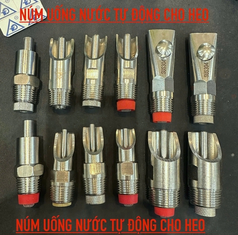 NÚM UỐNG NƯỚC CHO HEO