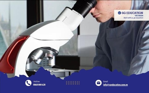 ĐẠI HỌC CANTERBURY CHRIST CHURCH, VƯƠNG QUỐC ANH