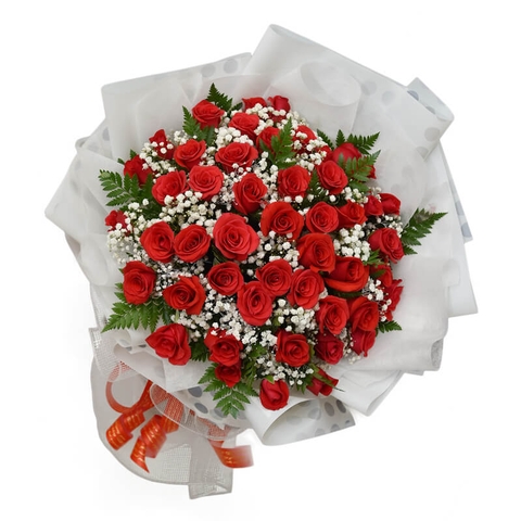 Bó Hoa Hồng Đỏ 50 Bông