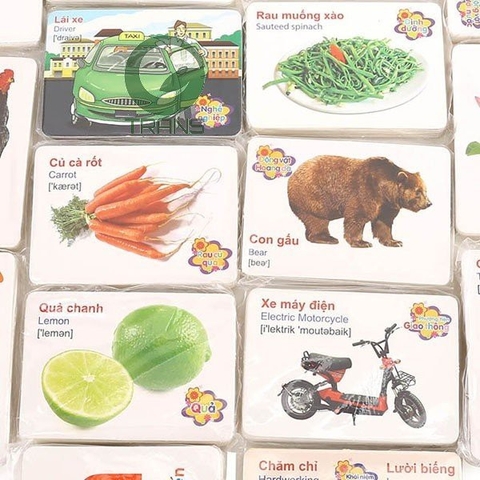 Bộ Thẻ Học 16 Chủ Đề Song Ngữ Anh Việt Có 416 Thẻ