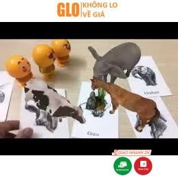 Thẻ Học 4d Cho Bé Gồm 31 Bộ Thẻ