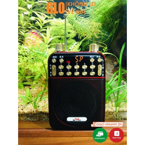 Loa Trợ Giảng Ys-907 Kèm Micro