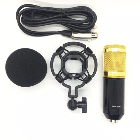 Micro thu âm chuyên nghiệp BM800 chính hãng