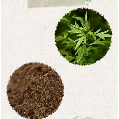 1 Miếng Dán Thảo Dược Ngải Cứu Thải Độc Cho Khung Nắn Chỉnh Cột Sống Sưởi Điện