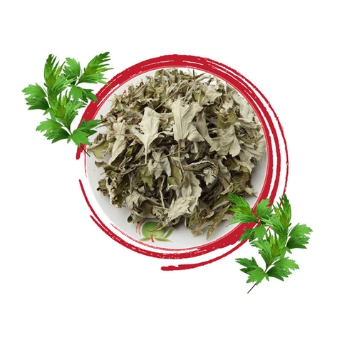 1 Miếng Dán Thảo Dược Ngải Cứu Thải Độc Cho Khung Nắn Chỉnh Cột Sống Sưởi Điện