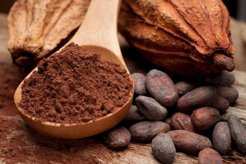 Hạt Cacao Bể và Bột Cacao Nguyên Chất 200gr  - COCOA NIBS The Nuts Valley