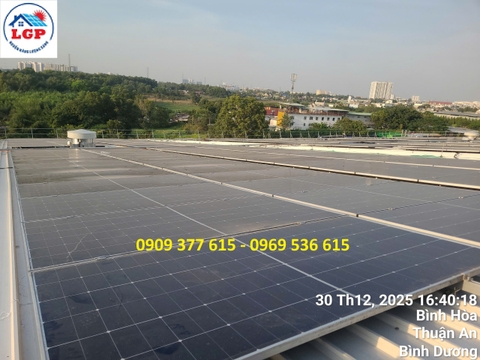 Công ty Lê Gia Phát thi công hệ thống điện mặt trời nhà xưởng tại Bình Dương - Cô gái Hà Lan