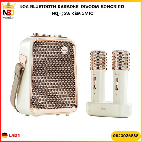 Loa Bluetooth kèm 2 Míc Karaoke Divoom SongBird-HQ 50W