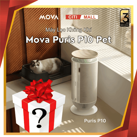 Mova Puris P10 - Máy Lọc Không Khí 2026