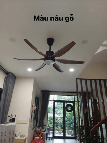 Quạt trần đèn CeilingFanking QT-001