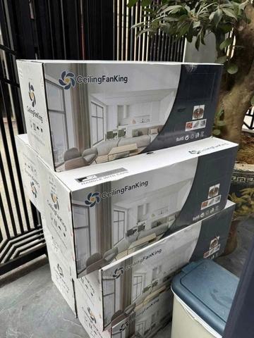 Quạt trần đèn CeilingFanking QT-001