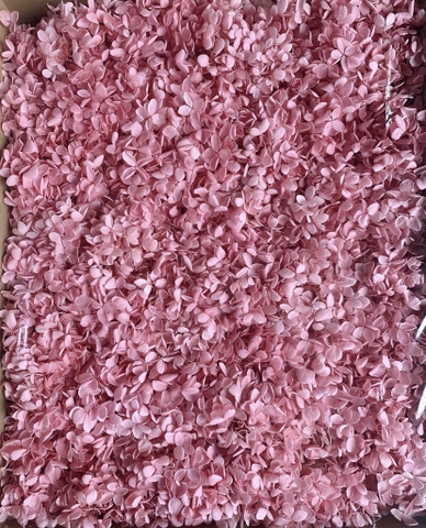 ดอกไม้แห้งไฮเดรนเยีย-ชมพู (10 กรัม)