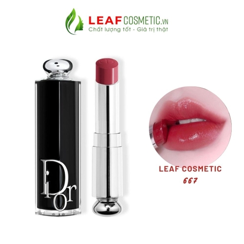 Son Dior Addict Hydrating Shine 667 - Hồng Đất