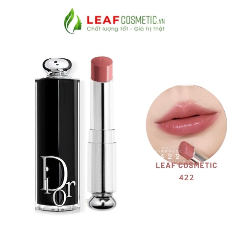 Son Thỏi Dior Addict Hydrating Shine 422 Rose Des Vents - Hồng Nâu