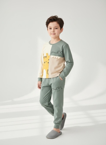 Bộ cotton trẻ em - bé trai ĐB003 2/10
