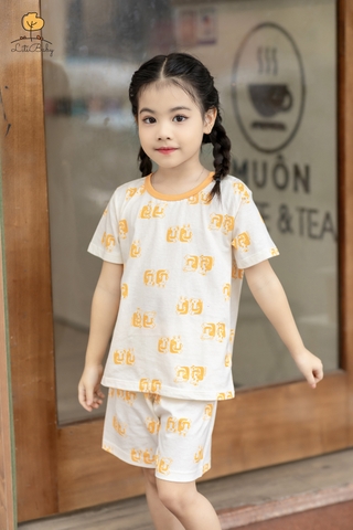 Bộ cotton giấy Bé trai, bé gái cúc vai size 1/5 tuổi