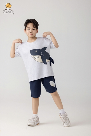 H479 Bộ cotton BT khủng long gai 2/10
