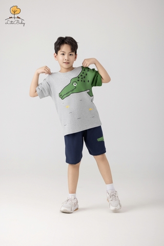 H479 Bộ cotton BT khủng long gai 2/10