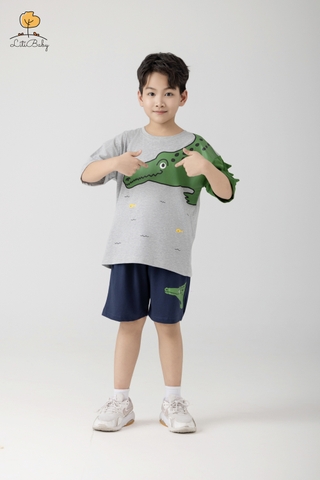 H479 Bộ cotton BT khủng long gai 2/10