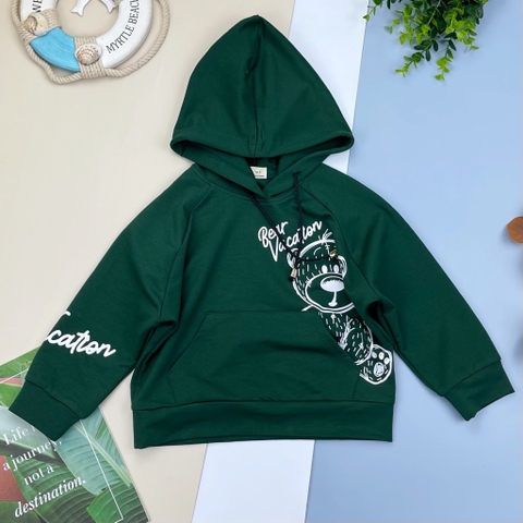 Áo nỉ hoodie in gấu 9/14