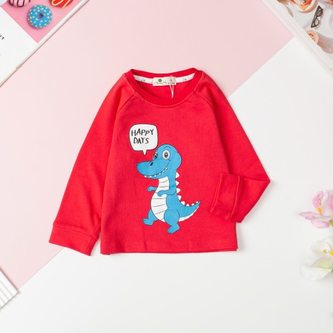 Áo Bé trai cotton thu đông in hình size 2/8T x24