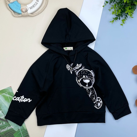 Áo nỉ hoodie in gấu 9/14