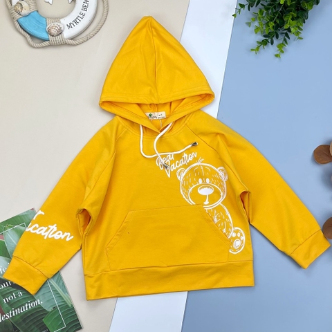 Áo nỉ hoodie in gấu 9/14