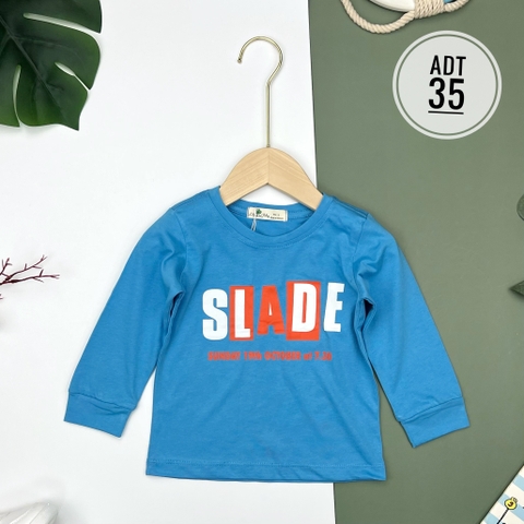 Áo bé trai cotton thu đông nhiều màu size đại 8/16