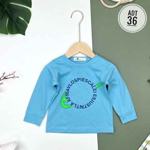 Áo bé trai cotton thu đông nhiều màu size đại 8/16