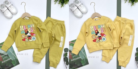 Bộ nỉ bogen siêu nhân, mickey, ô tô size 2/8T