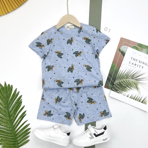 Bộ quần đùi bông 3/10