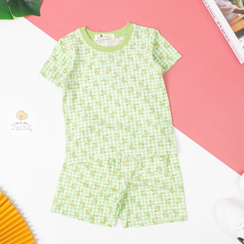 Bộ cotton sợi tre Hàn Quốc có tay 2/6T